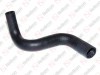 Radiator hose / 205 091 007 / 1355106, 1346770