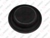 Diaphragm / 205 160 015 / 1325347,  FBU9962