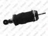 Cabin shock absorber, with air bellow / 305 049 029 / 1873668,  CB0194