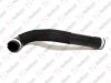 Radiator hose / 305 091 018 / 1496815