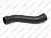 Radiator hose / 305 091 082 / 481886