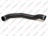 Radiator hose / 305 091 097 / 1755951