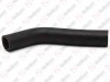 Radiator hose / 305 091 117 / 1755963