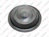 Diaphragm / 305 160 023 / 189644,  1912344,  203670