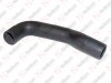 Radiator hose / 405 091 050 / 81963010906