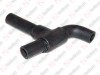 Radiator hose / 405 091 064 / 81963010896