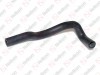 Radiator hose / 405 091 069 / 81963050300, 81963050261