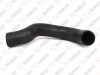 Radiator hose / 405 091 087 / 81963010953