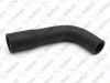 Radiator hose / 405 091 098 / 81963050243