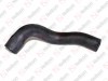 Radiator hose / 505 091 036 / 5010619237