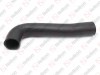 Radiator hose / 605 091 255 / 6525012082