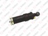 Амортизатор кабины, с пневмобаллоном / 305 049 022 / Shock Absorber: 1505563,  Air Bellow: 1424231